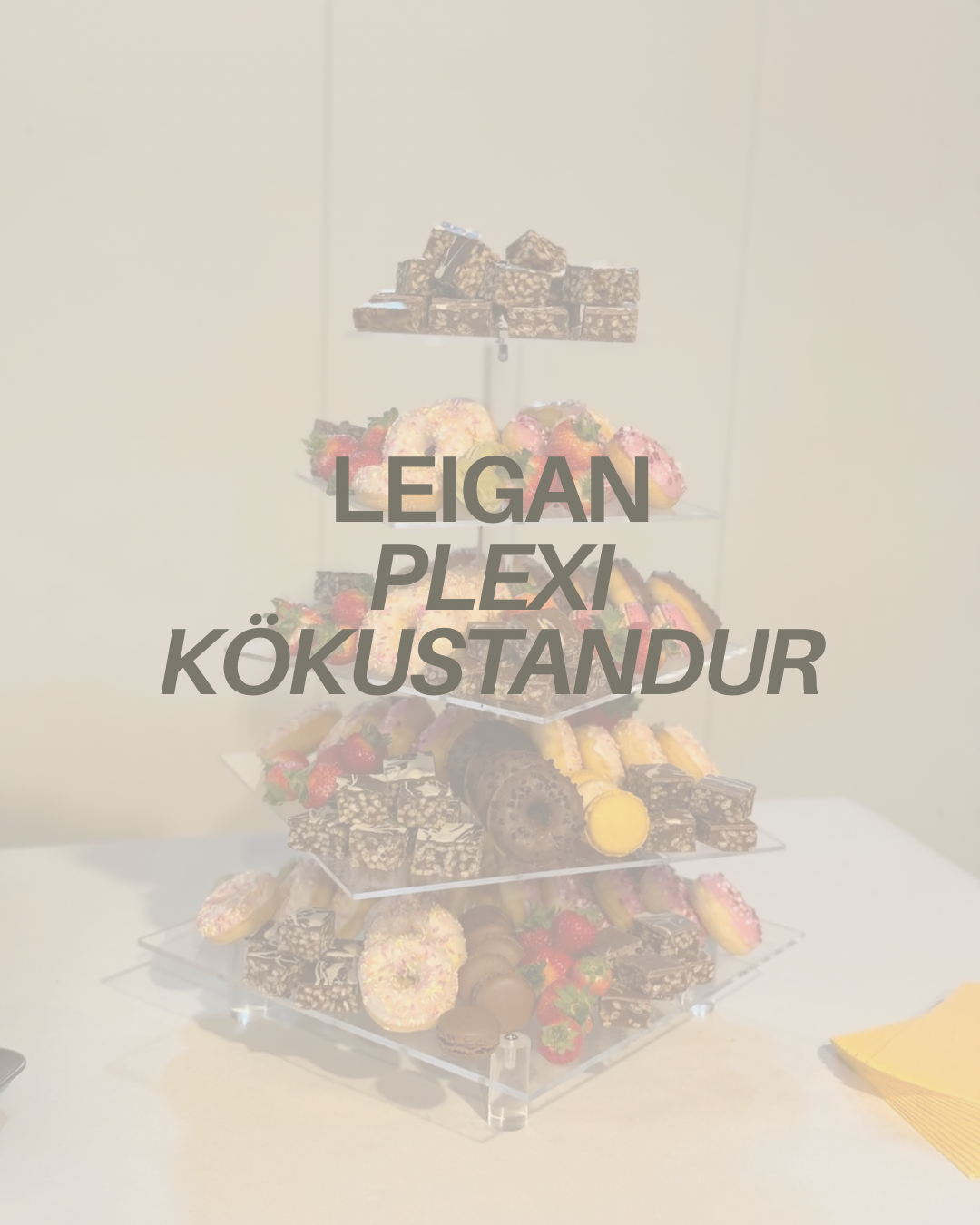 Plexi kökustandur - mánaðarleiga